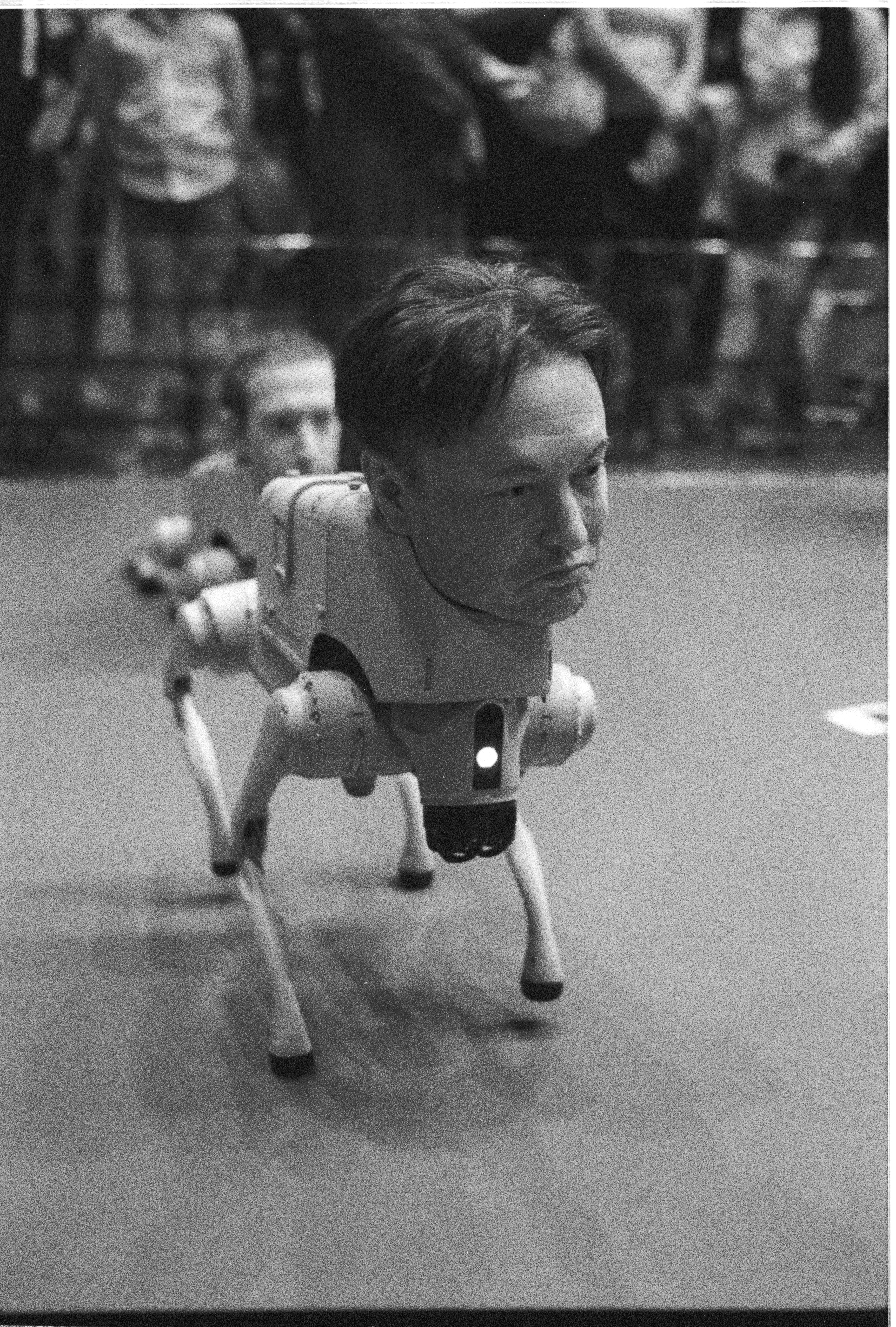 Visual Essay — Art Basel Miami 2025