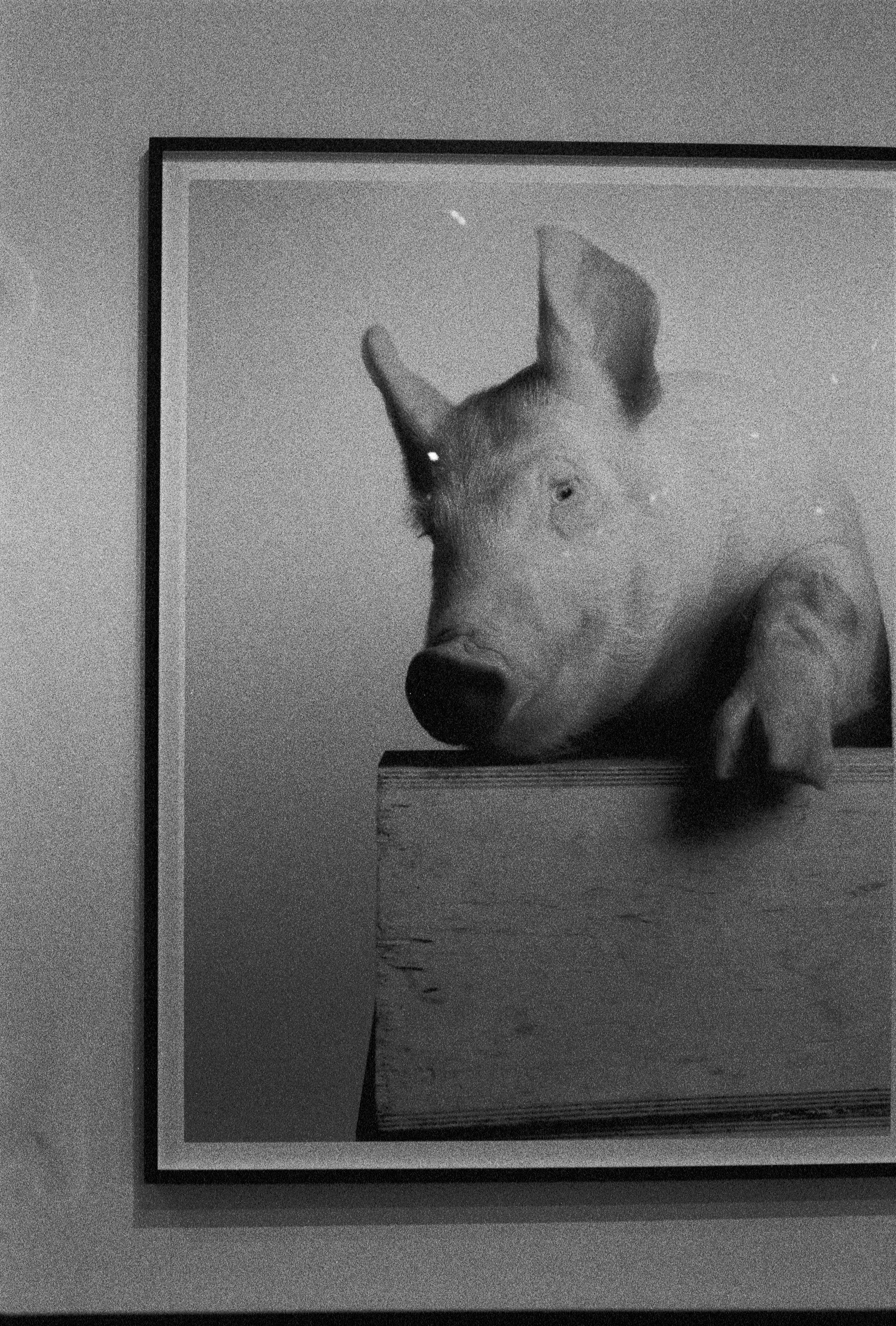 Visual Essay — Art Basel Miami 2025