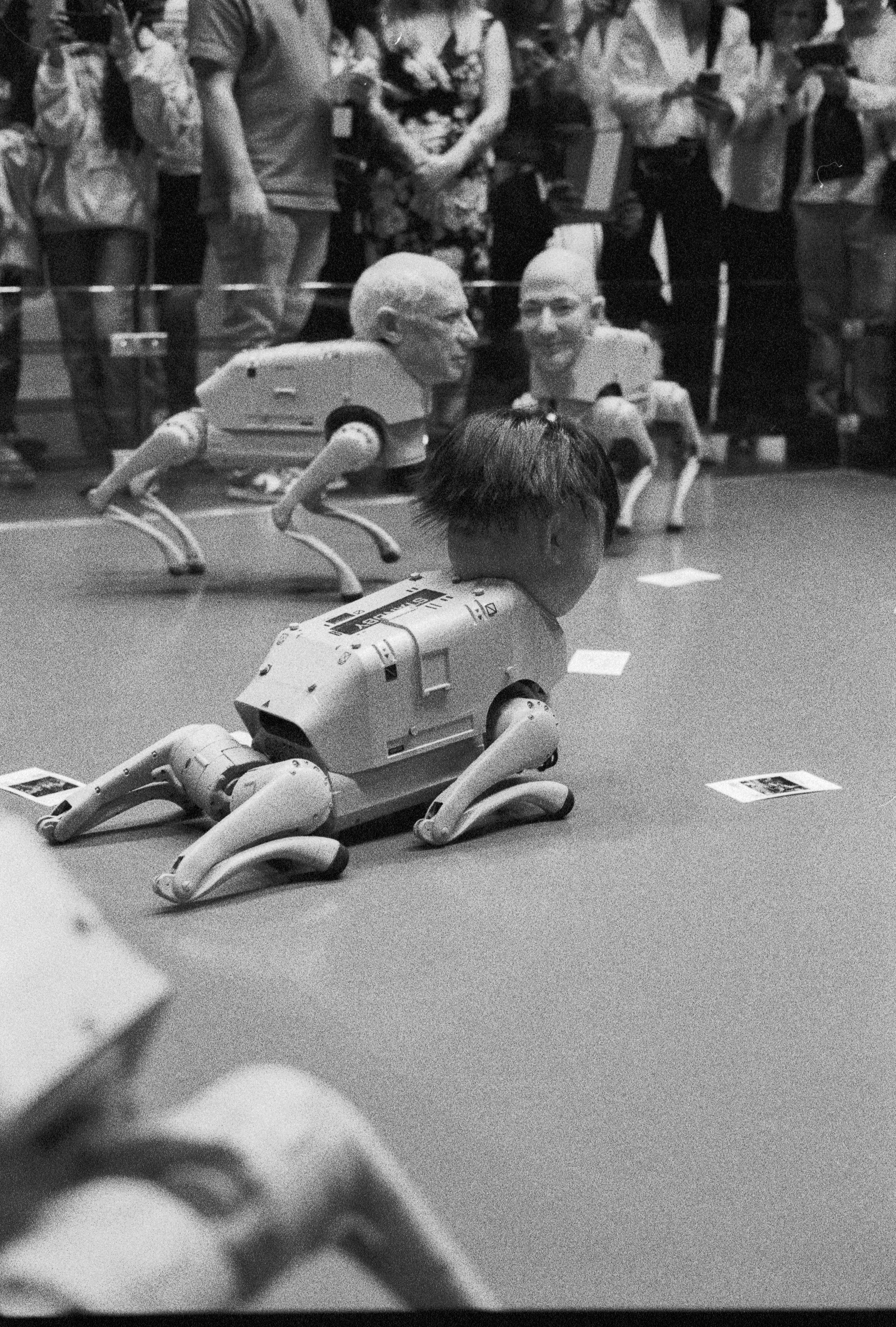 Visual Essay — Art Basel Miami 2025