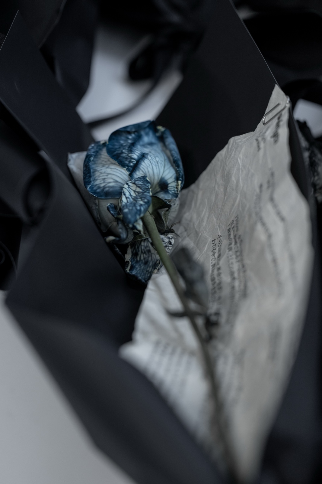 Tokyo Fashion Week AW26